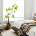 3% Openness Solar Shades
