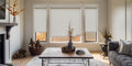 Natural Woven Shades