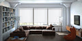 Blackout Roller Shades (Custom Size)