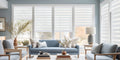 Light Control Zebra Blinds
