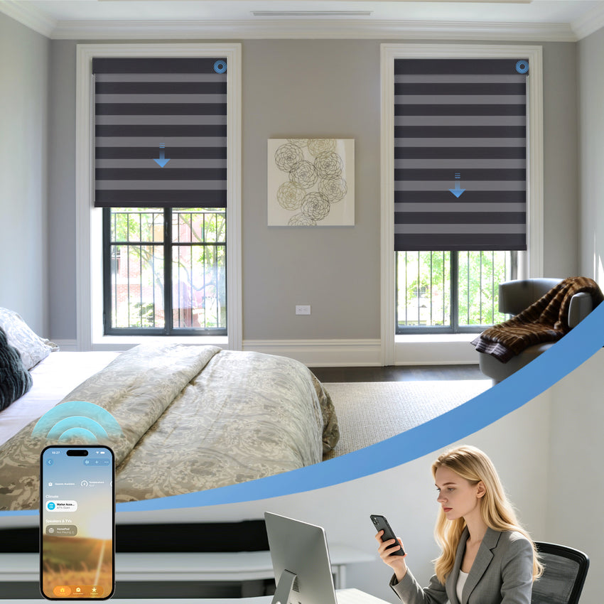 Eve Motionblinds Motorized Zebra Shades
