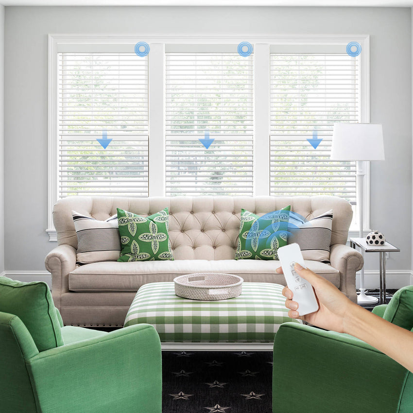 KALIA Custom Motorized Slub Shangri-La Sheer Shades with Remote Control