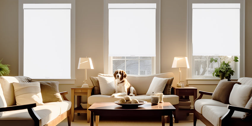 KALIA Cordless Blackout Roller Shades for living room with UV protection features