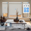 KALIA motorized woven roller shades with smart app control for everyday convenience
