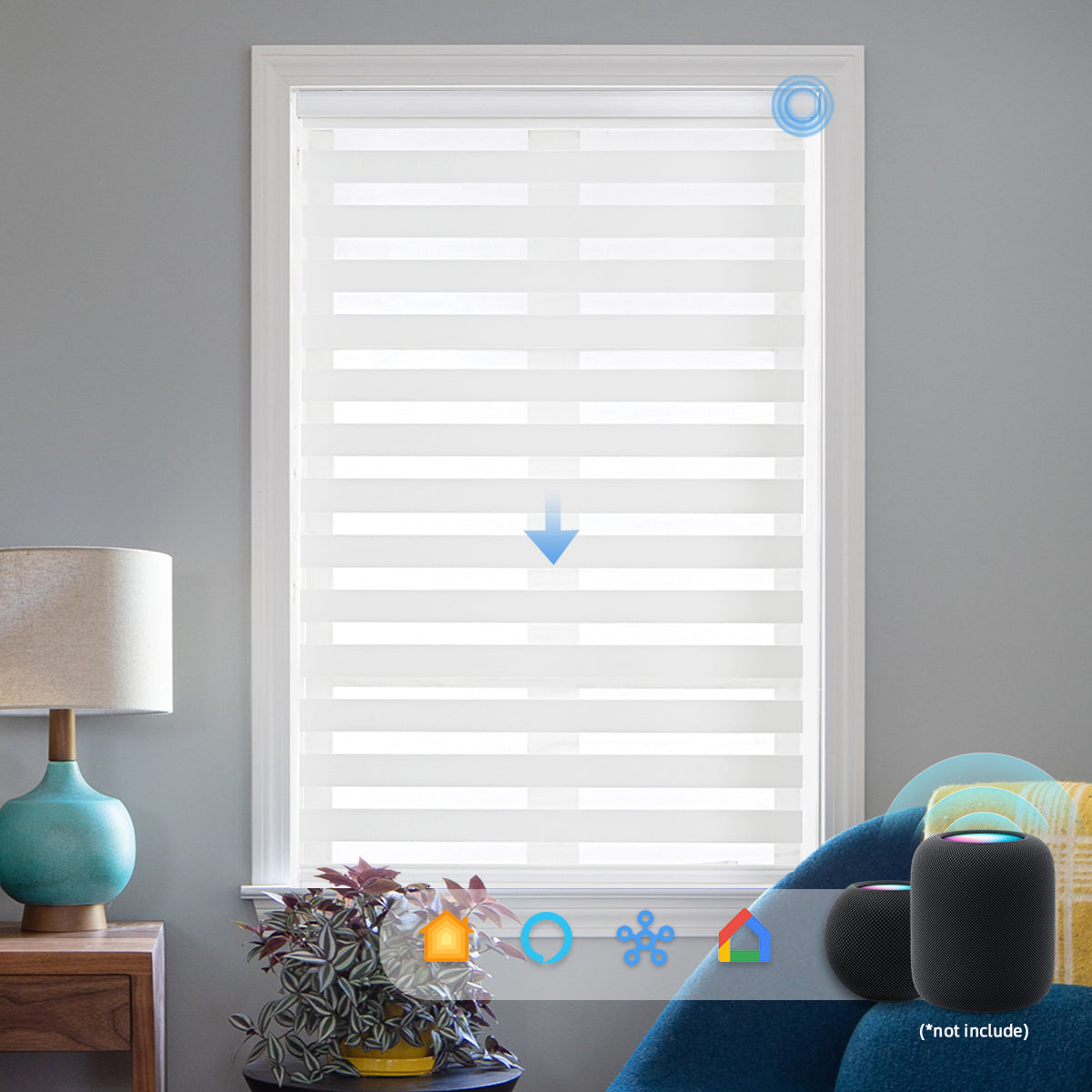 Motorized Light Control Zebra Blinds