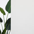 1% Openness Solar Shades