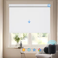 KALIA custom motorized blackout roller shade with smart home control for living room privacy