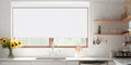 KALIA Cordless Blackout Roller Shades for Kitchen 